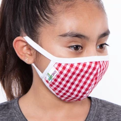 Curvy Sense Kids Washable Gingham Face Mask - Ages 4 - 11 Face Masks