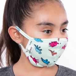 Curvy Sense Face Masks Kids Washable Fun Patterns Face Mask ( Ages 4 - 11 ) - Dino Seafoam